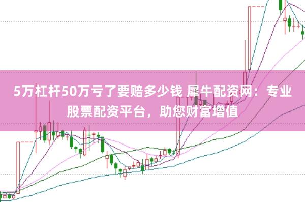 5万杠杆50万亏了要赔多少钱 犀牛配资网：专业股票配资平台，助您财富增值
