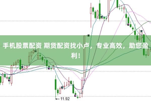 手机股票配资 期货配资找小卢，专业高效，助您盈利！