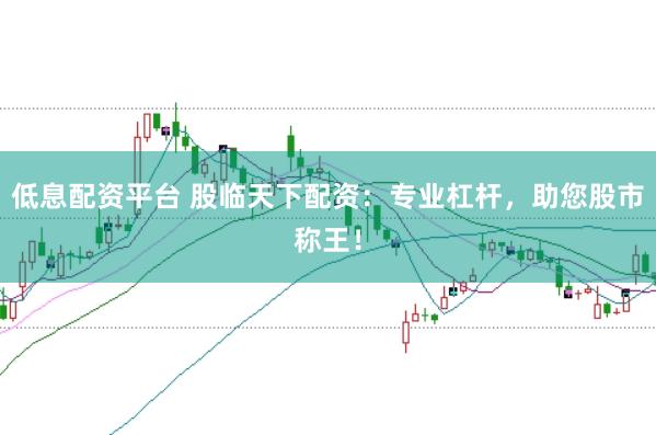 低息配资平台 股临天下配资：专业杠杆，助您股市称王！