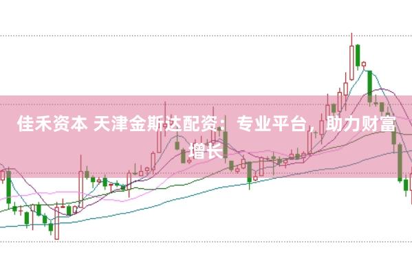 佳禾资本 天津金斯达配资：专业平台，助力财富增长