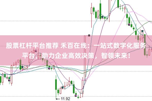 股票杠杆平台推荐 禾百在线:一站式数字化服务平台,助力企业高效决策,智领未来!