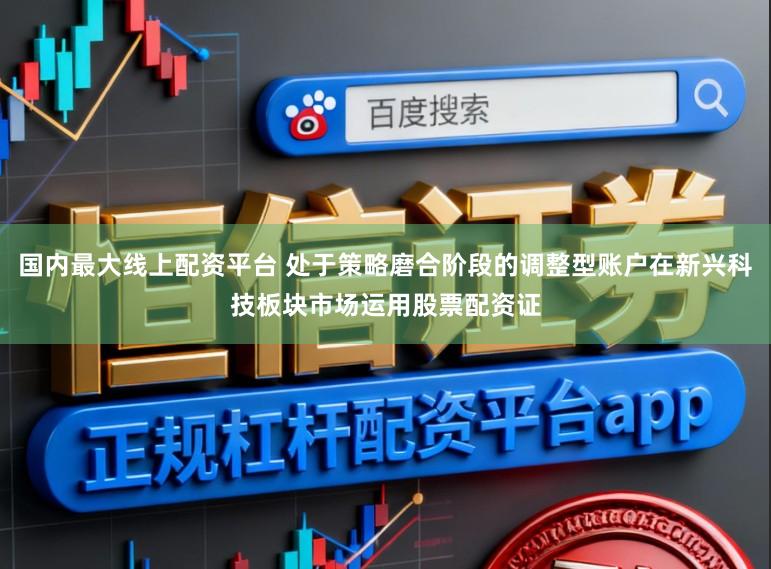国内最大线上配资平台 处于策略磨合阶段的调整型账户在新兴科技板块市场运用股票配资证