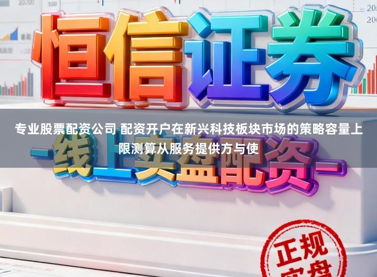 专业股票配资公司 配资开户在新兴科技板块市场的策略容量上限测算从服务提供方与使